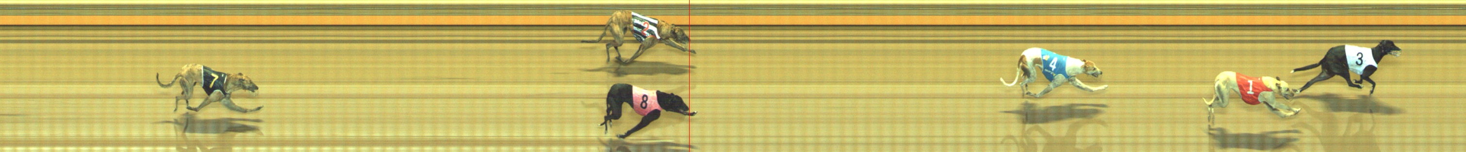 Photo finish for Geelong Race 6