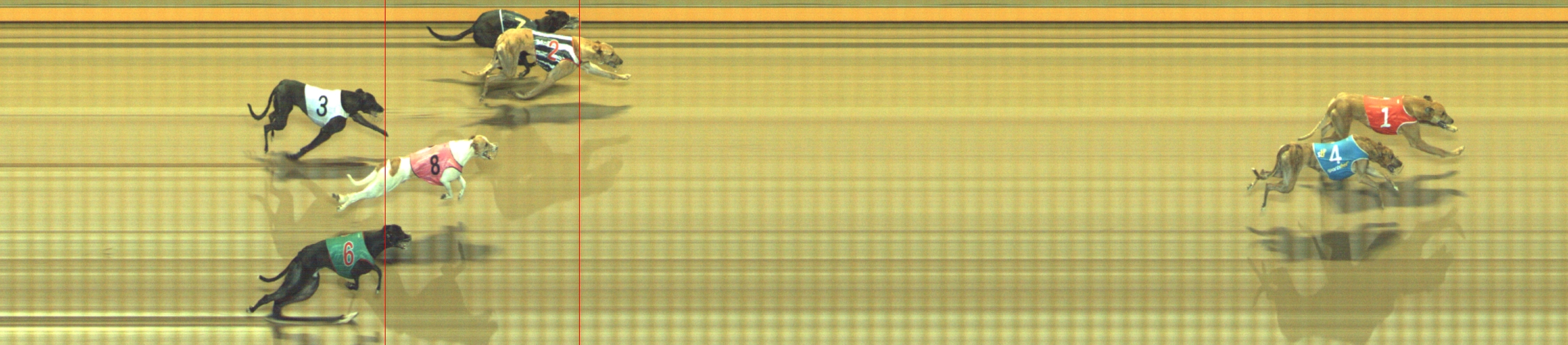 Photo finish for Geelong Race 7