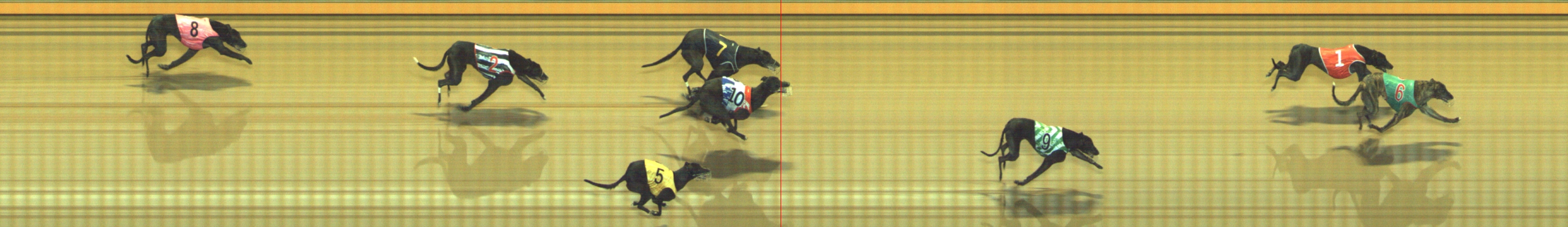 Photo finish for Geelong Race 8