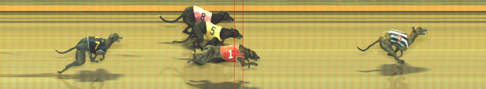 Photo finish for Geelong Race 9