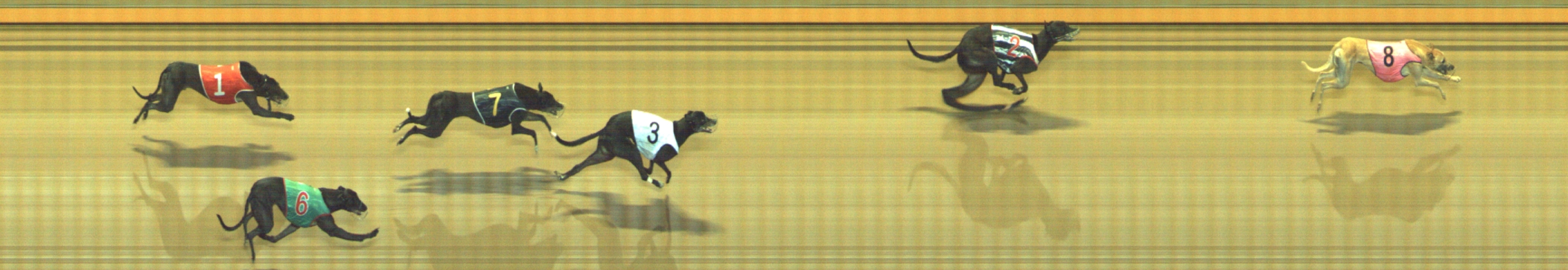 Photo finish for Geelong Race 10