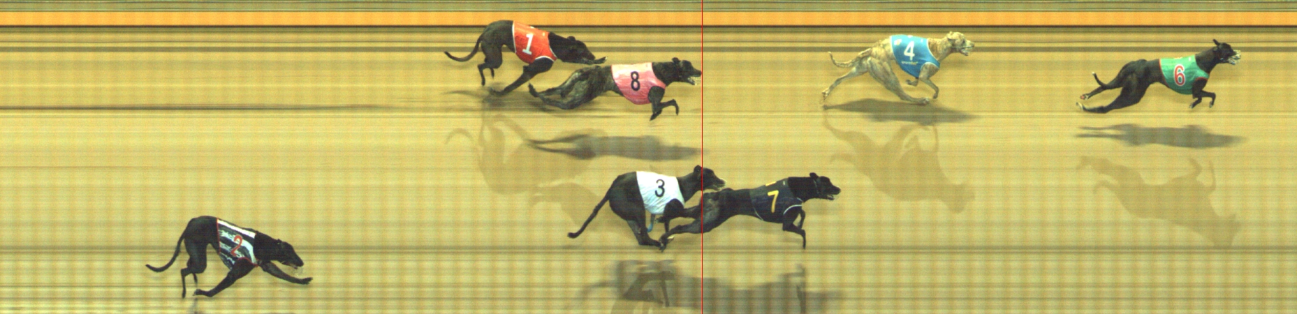 Photo finish for Geelong Race 11