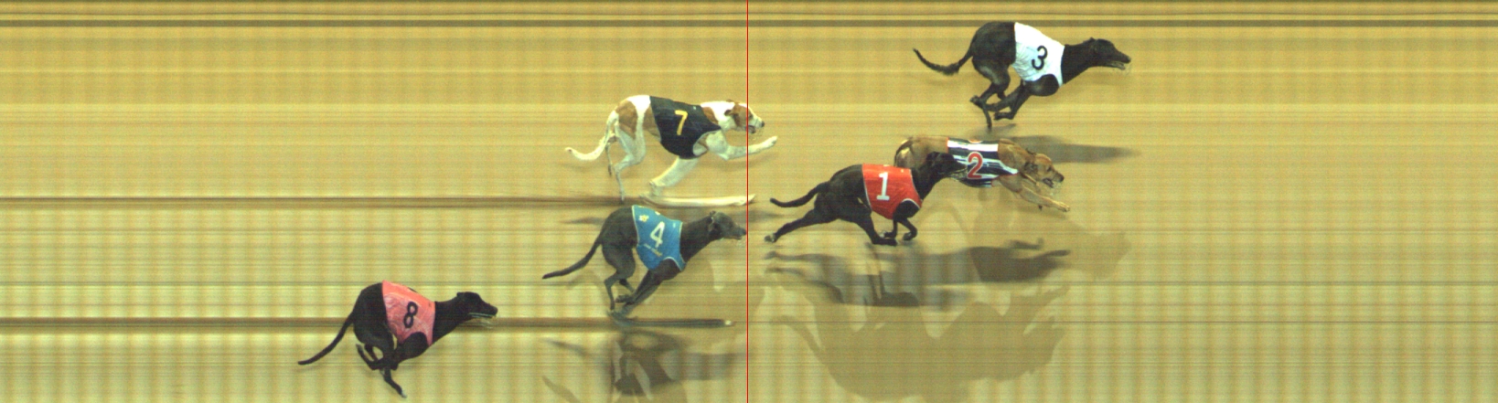 Photo finish for Geelong Race 12