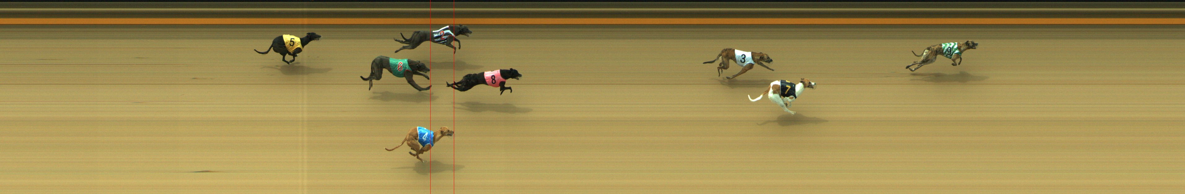Photo finish for Geelong Race 1