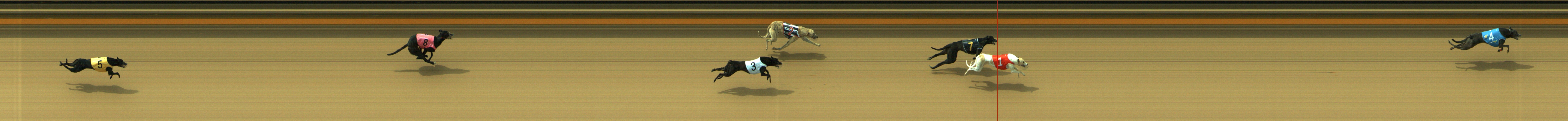 Photo finish for Geelong Race 2