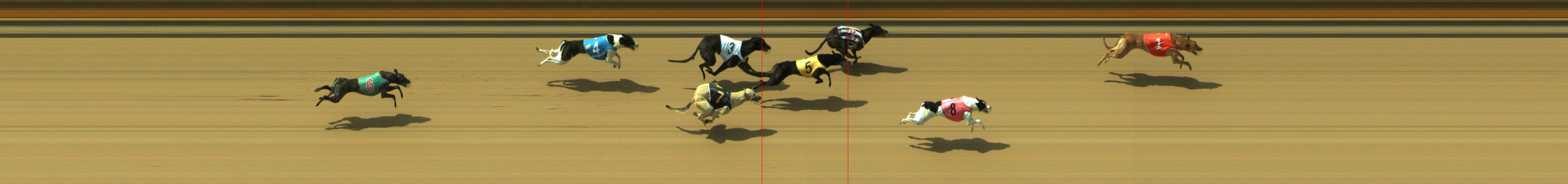Photo finish for Geelong Race 3