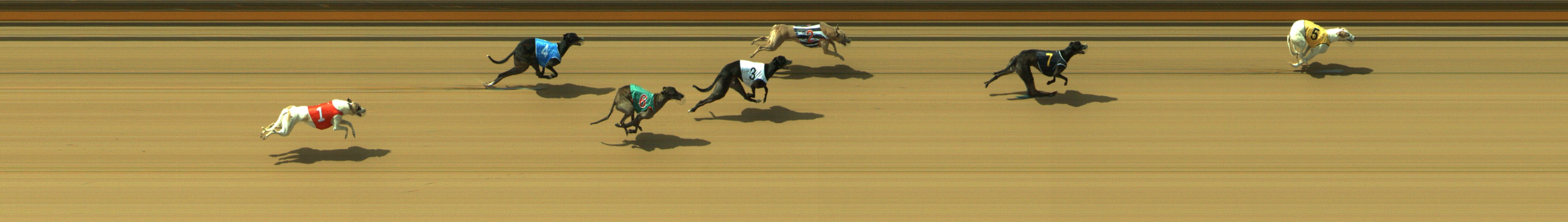 Photo finish for Geelong Race 4