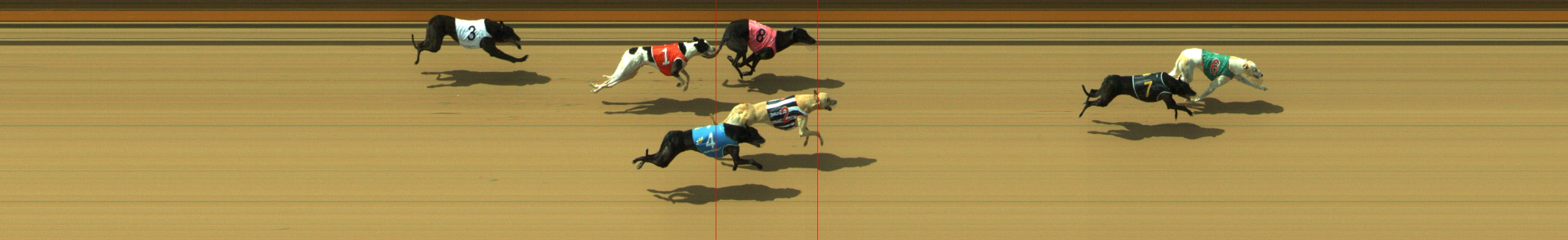 Photo finish for Geelong Race 5