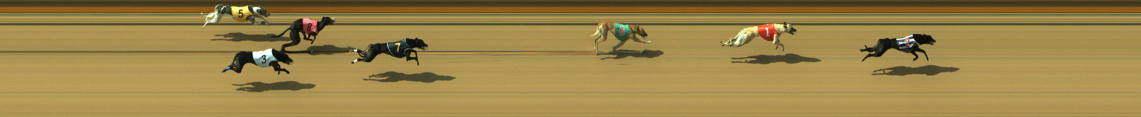 Photo finish for Geelong Race 6