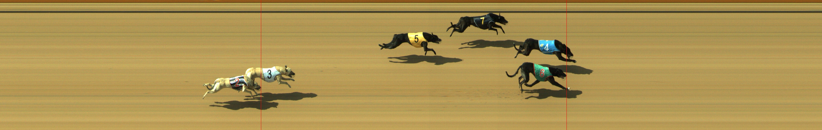 Photo finish for Geelong Race 7