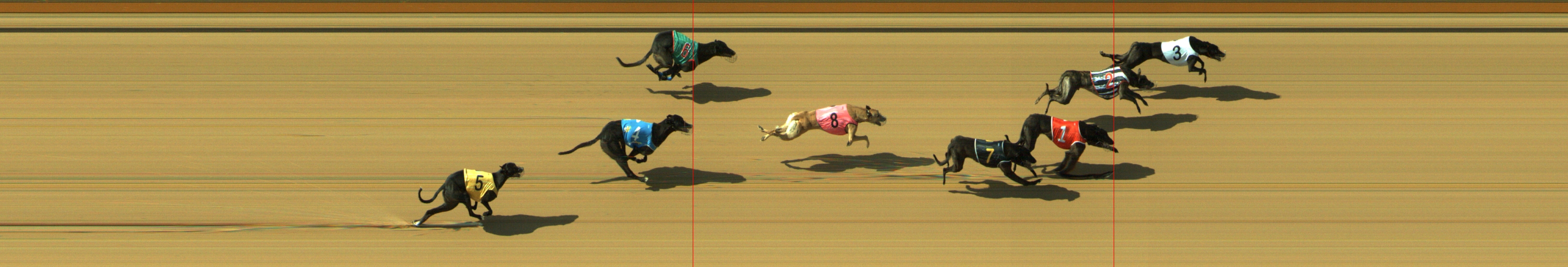 Photo finish for Geelong Race 8