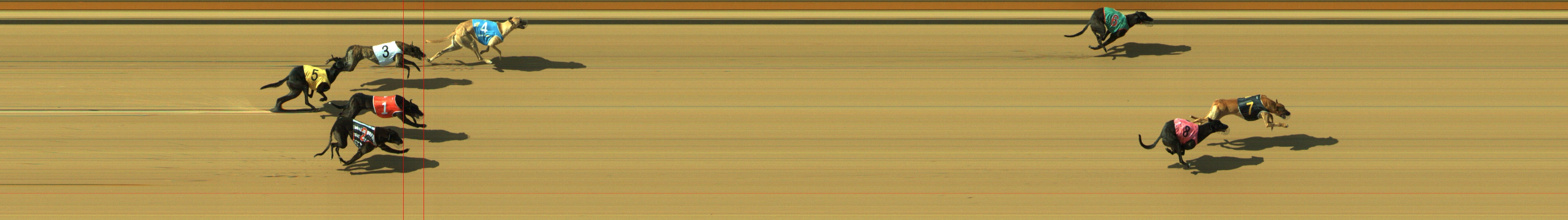 Photo finish for Geelong Race 9