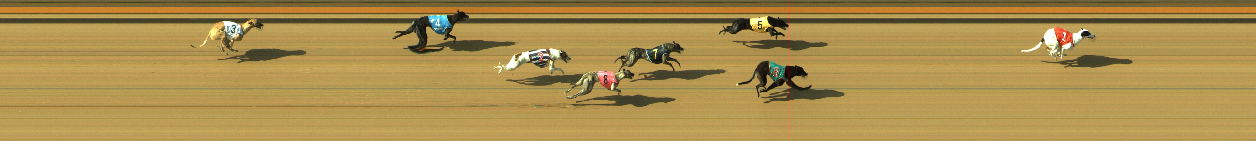 Photo finish for Geelong Race 10