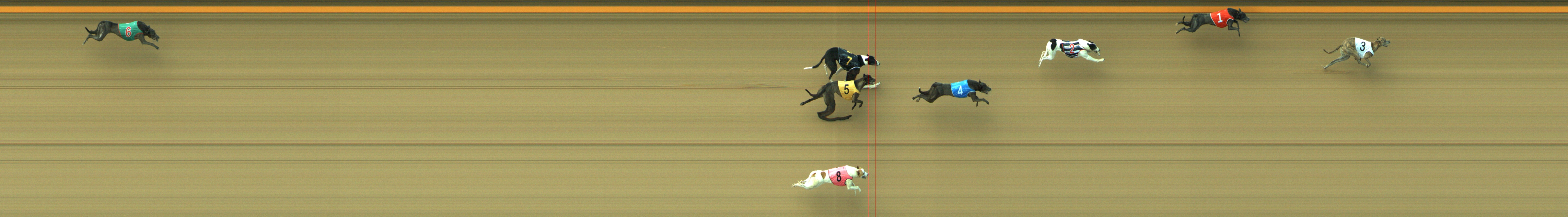 Photo finish for Geelong Race 11
