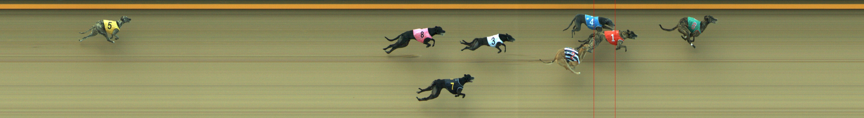 Photo finish for Geelong Race 12