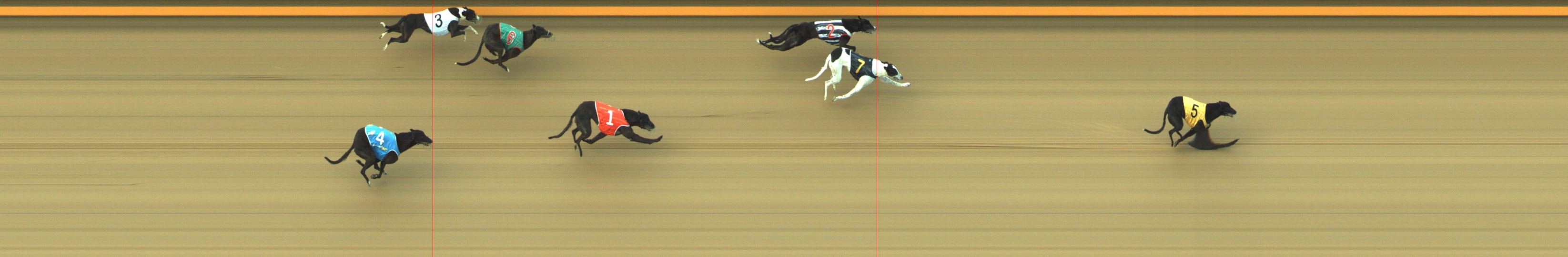 Photo finish for Geelong Race 13