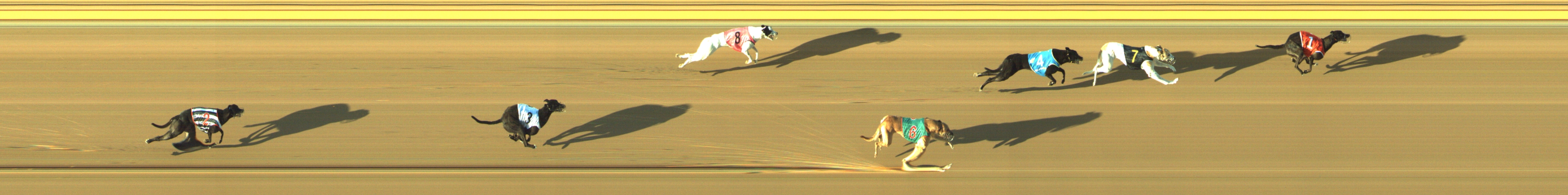Photo finish for Geelong Race 2