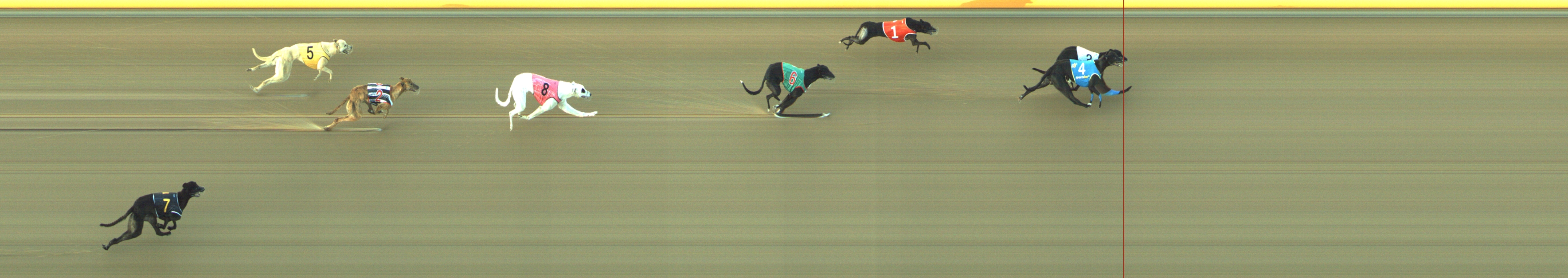 Photo finish for Geelong Race 4