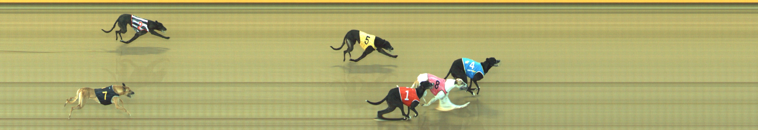 Photo finish for Geelong Race 5