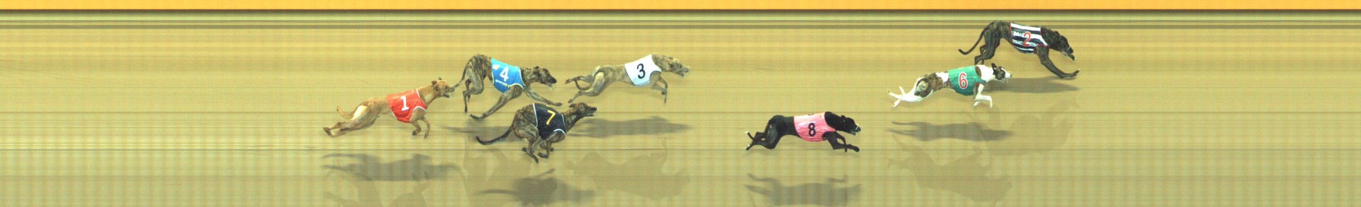 Photo finish for Geelong Race 6