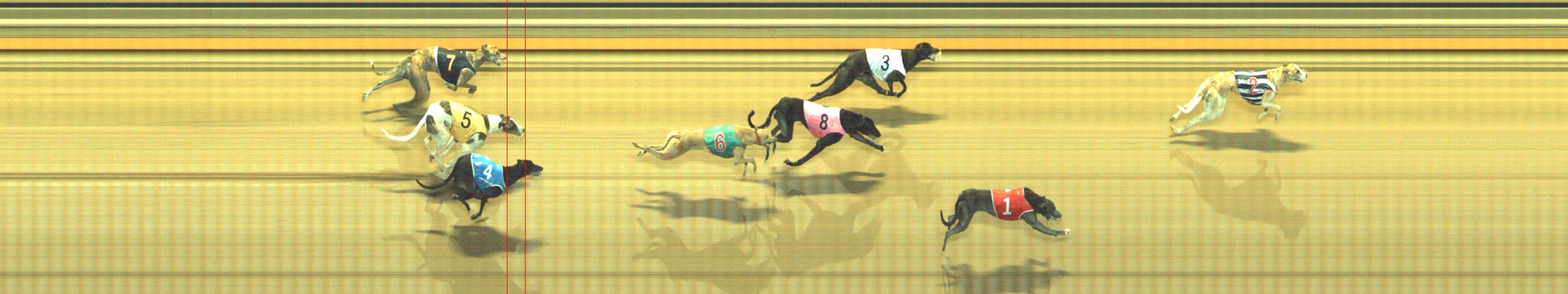 Photo finish for Geelong Race 7