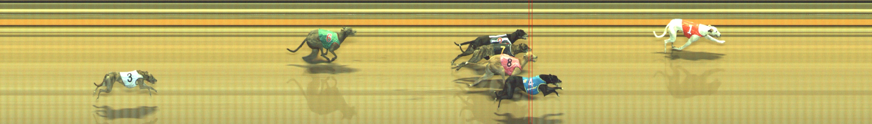 Photo finish for Geelong Race 8