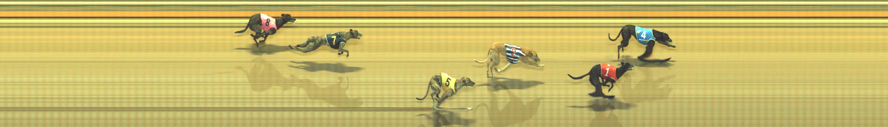 Photo finish for Geelong Race 9
