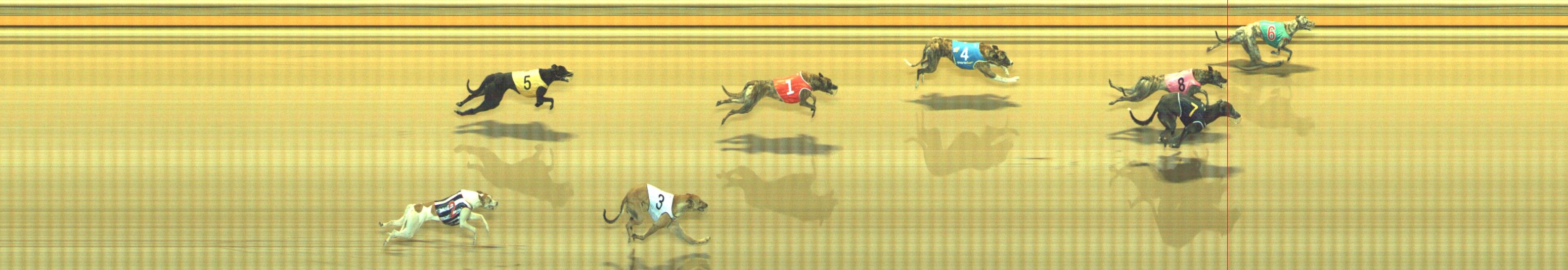 Photo finish for Geelong Race 10