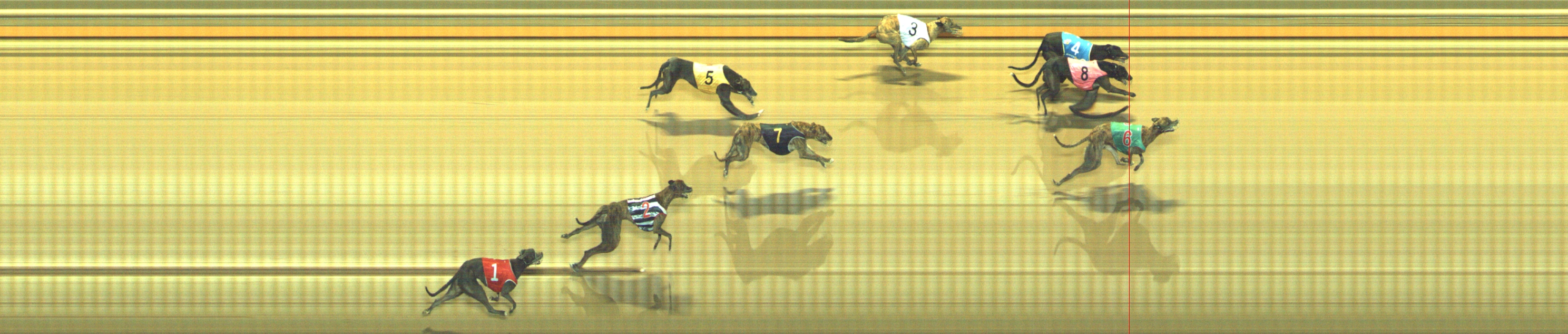 Photo finish for Geelong Race 11