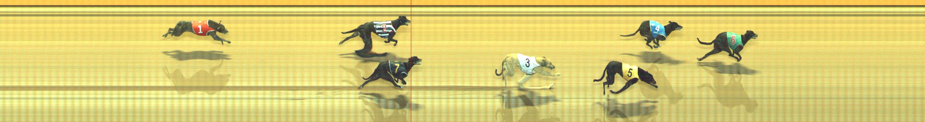 Photo finish for Geelong Race 12