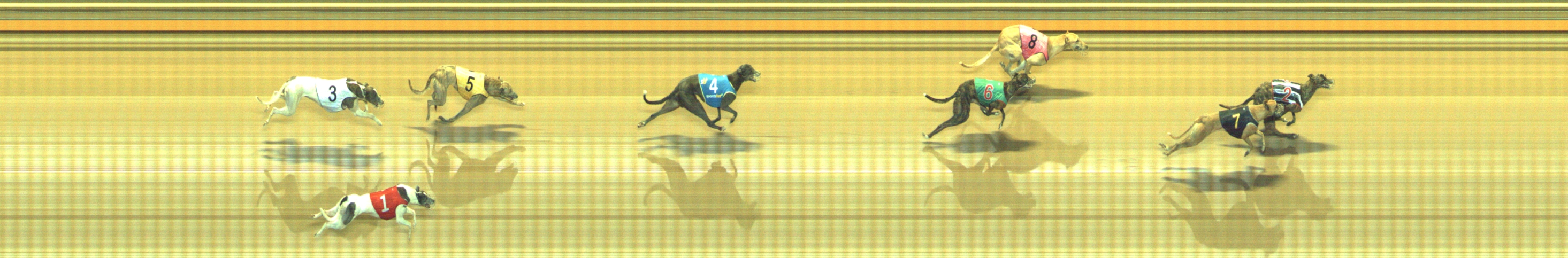 Photo finish for Geelong Race 13