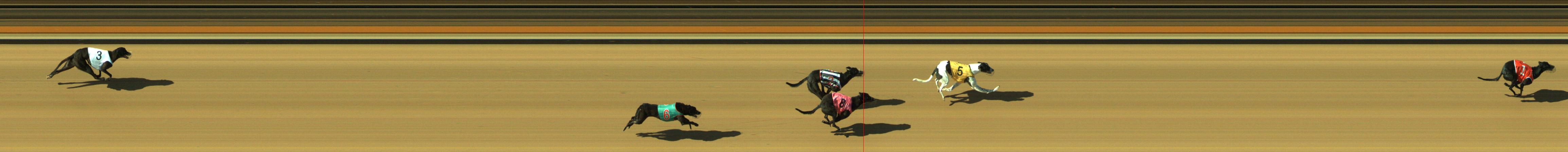 Photo finish for Geelong Race 2