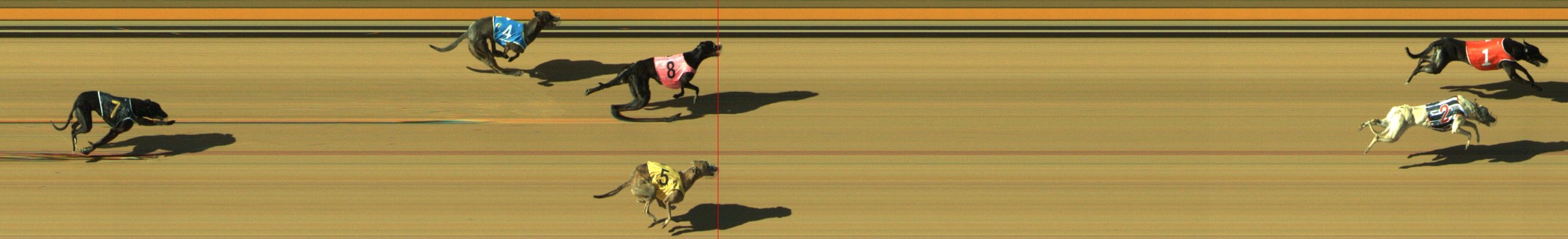 Photo finish for Geelong Race 3