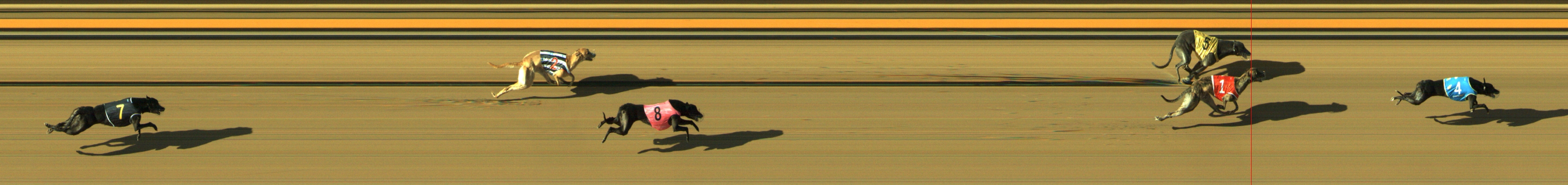 Photo finish for Geelong Race 4