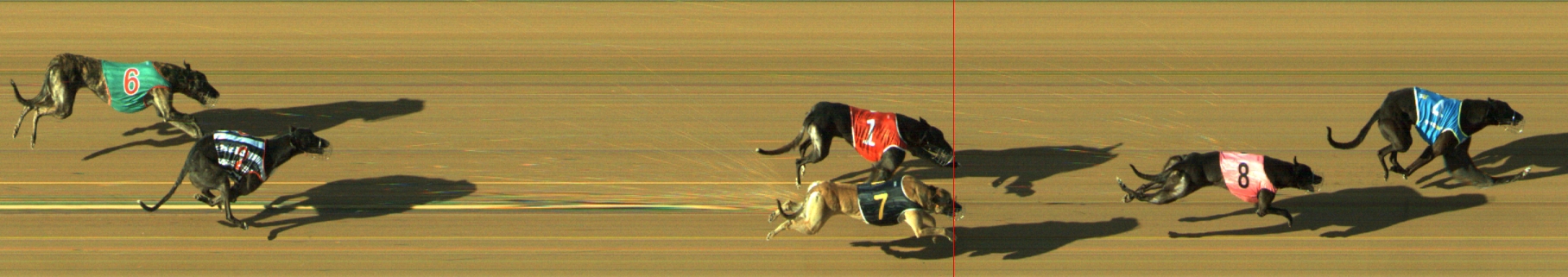 Photo finish for Geelong Race 5