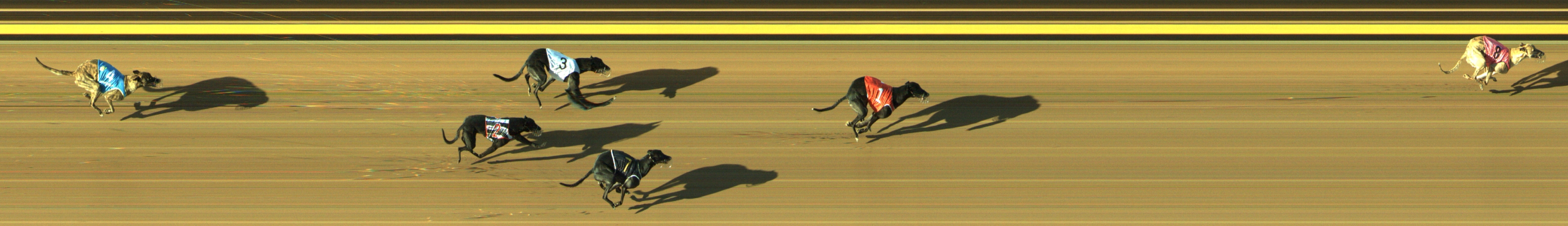 Photo finish for Geelong Race 6