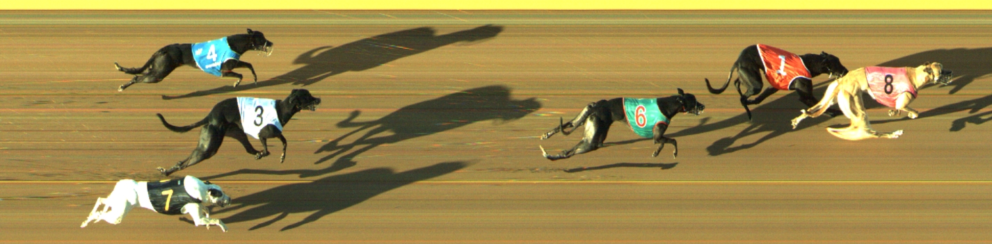 Photo finish for Geelong Race 7