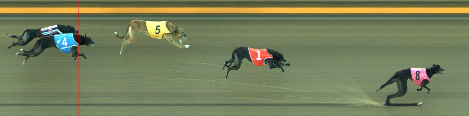 Photo finish for Geelong Race 9