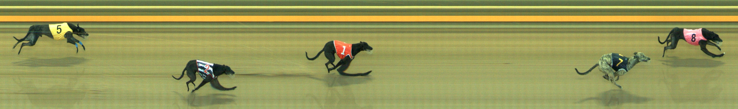 Photo finish for Geelong Race 10