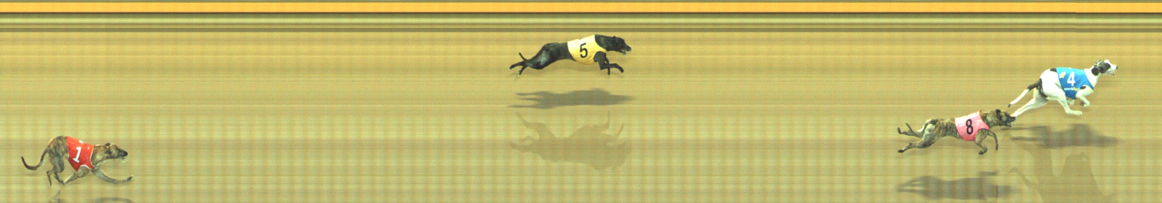 Photo finish for Geelong Race 11