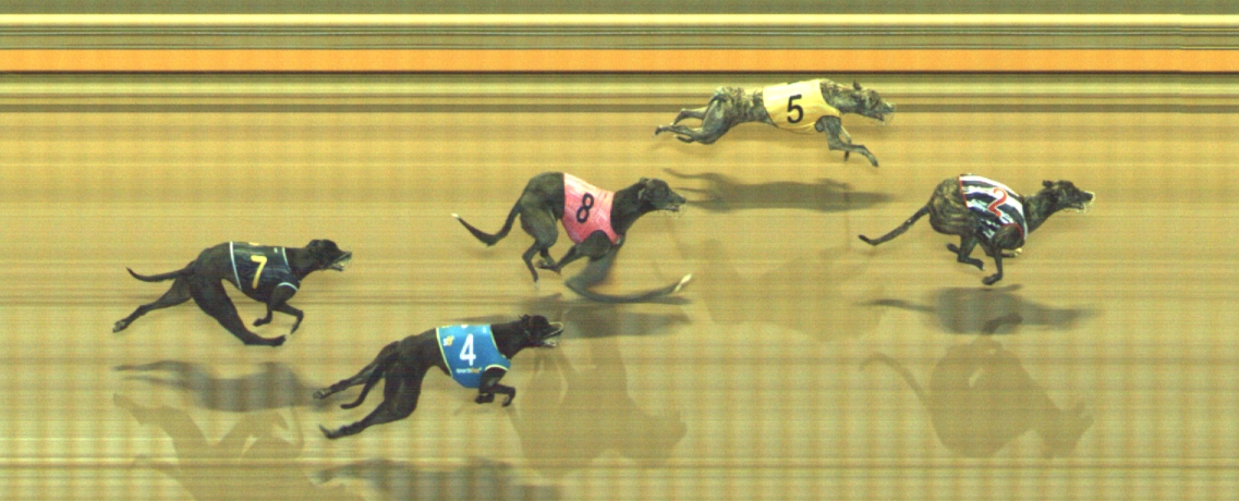 Photo finish for Geelong Race 12
