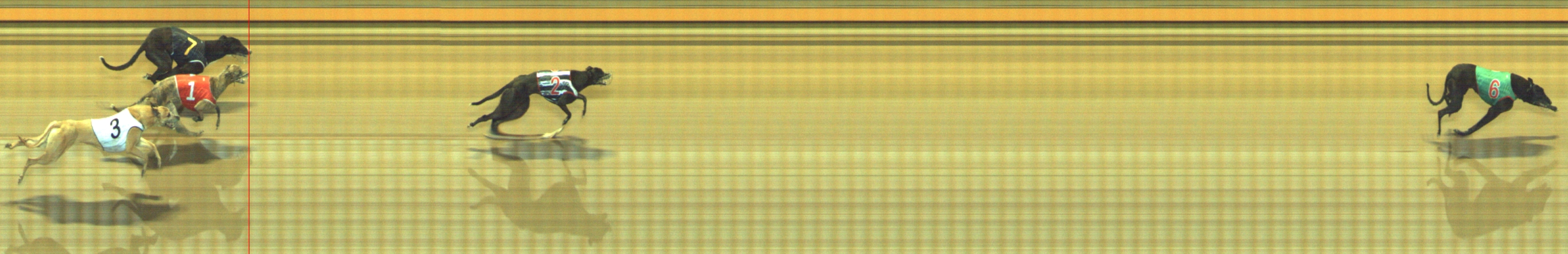 Photo finish for Geelong Race 13