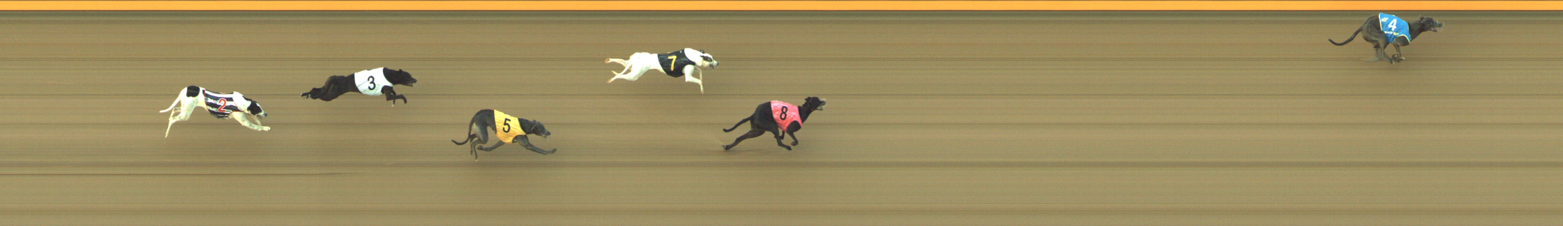 Photo finish for Geelong Race 4