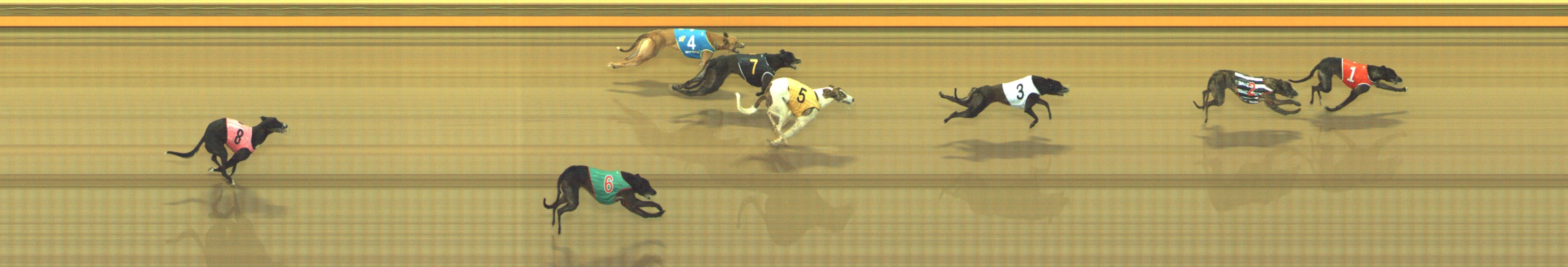 Photo finish for Geelong Race 5
