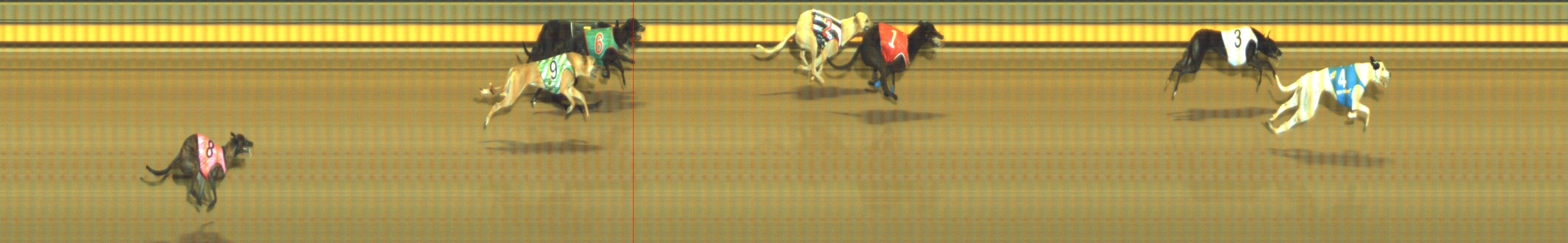Photo finish for Geelong Race 7