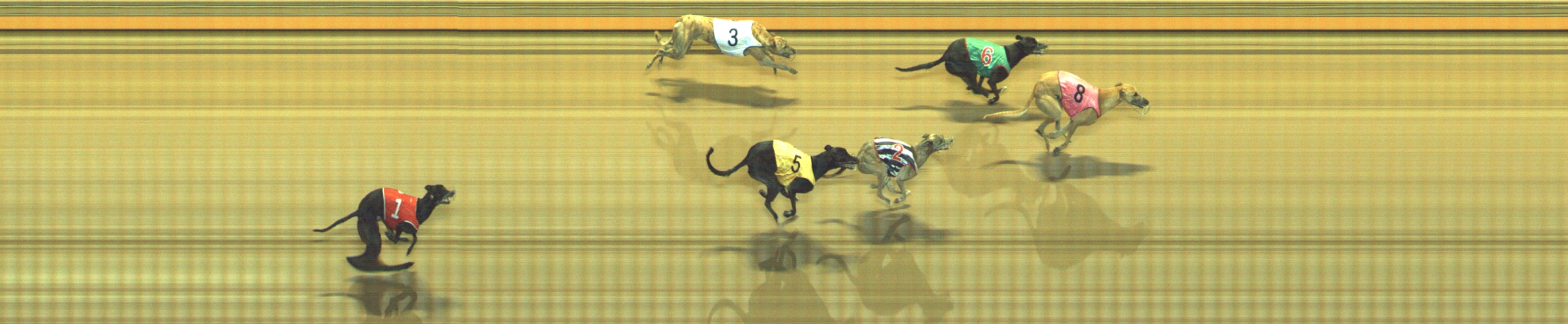 Photo finish for Geelong Race 8