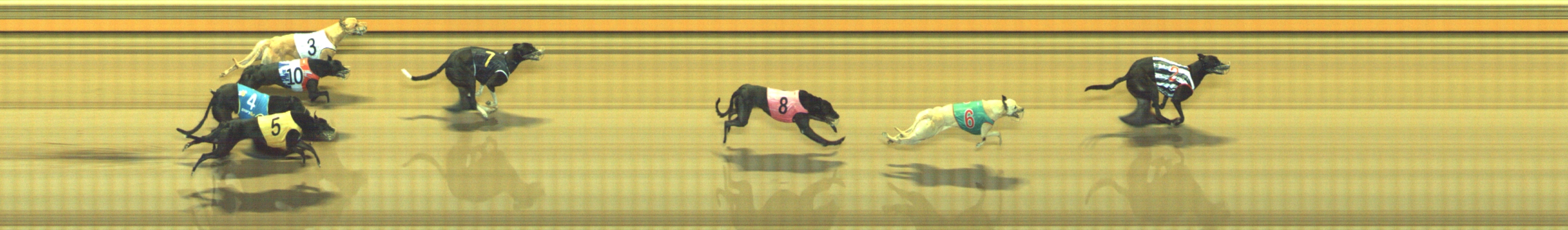 Photo finish for Geelong Race 10