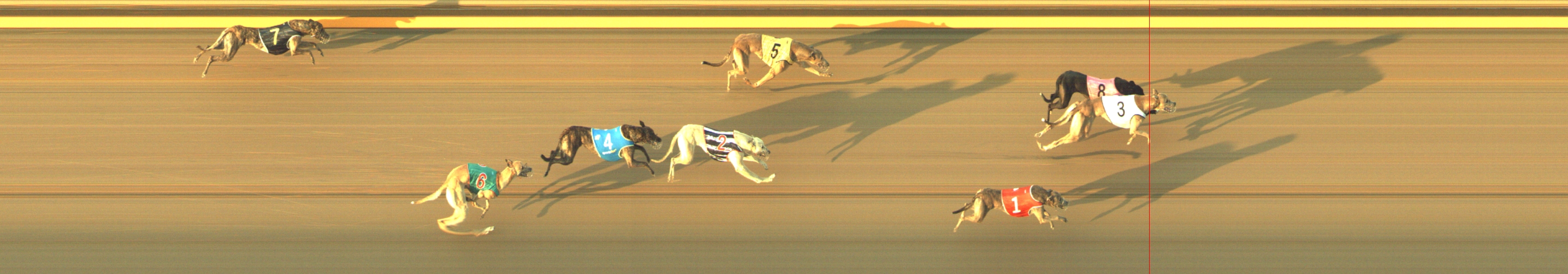 Photo finish for Geelong Race 2