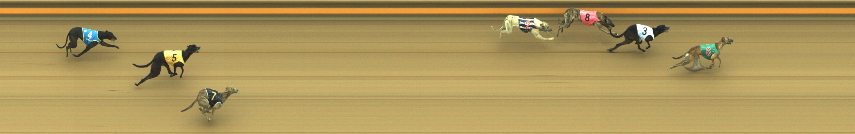 Photo finish for Geelong Race 2