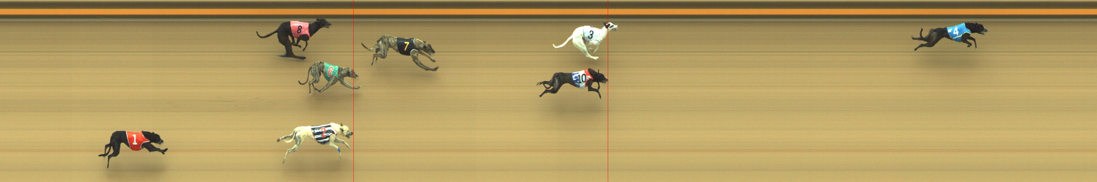 Photo finish for Geelong Race 3